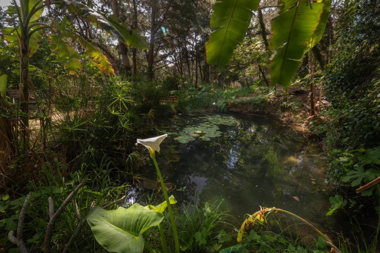 Villa Rene Koskinou  Bagian luar foto