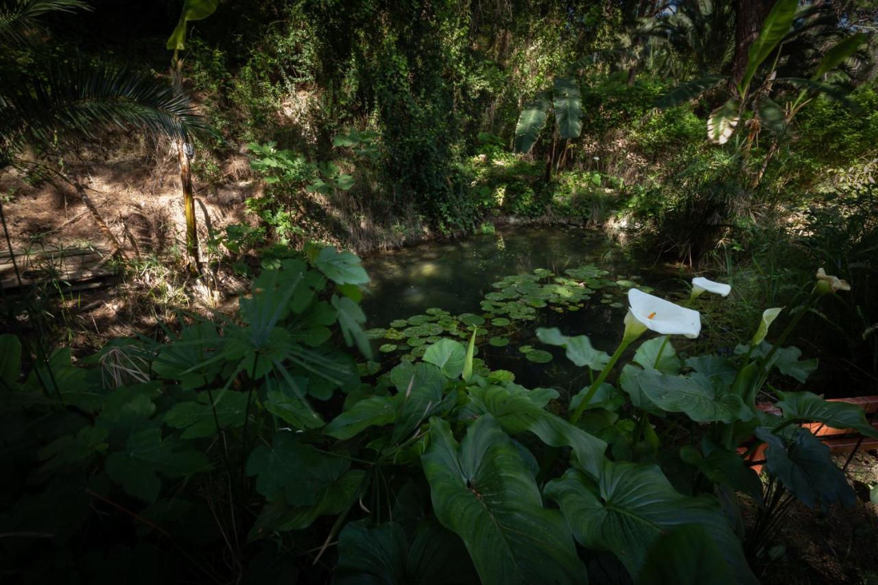 Villa Rene Koskinou  Bagian luar foto