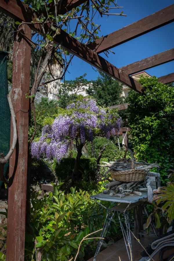 Villa Rene Koskinou  Bagian luar foto